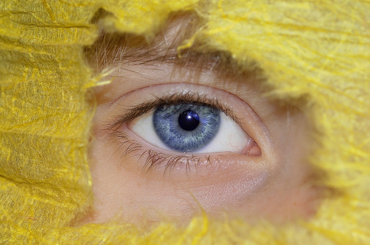 How to Conduct Research on Human-Animal Interactions